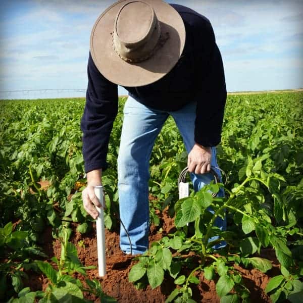 drill and drop potato install2