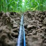 Споделен опит download (1)