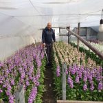 Време за плевене: реалният опит на производител с колесна хербицидна пръскачка Mankar