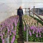 Време за плевене: реалният опит на производител с колесна хербицидна пръскачка Mankar