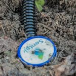 Почвените сонди Sentek показват къде е „устата“ на корените и помагат за по-прецизно напояване и торене