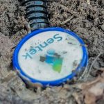 Почвените сонди Sentek показват къде е „устата“ на корените и помагат за по-прецизно напояване и торене